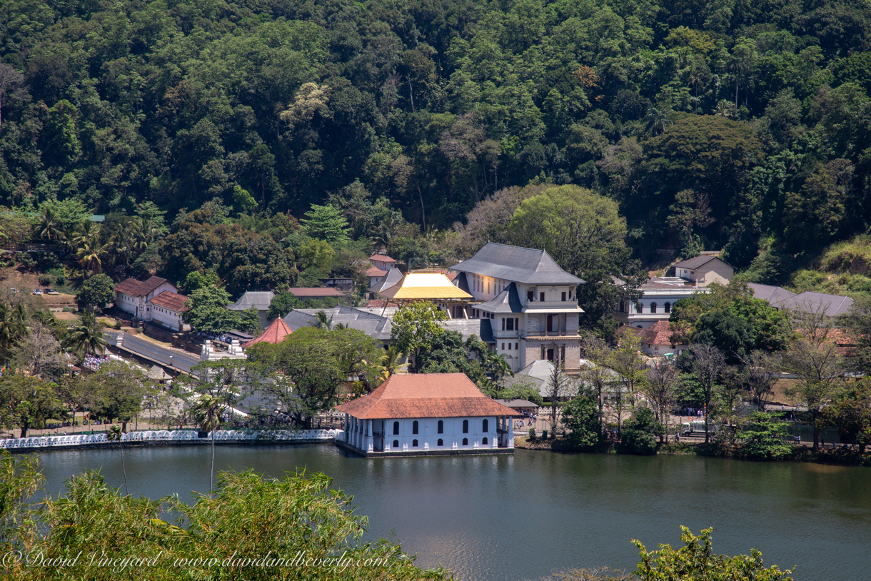 20190320- Kandy-31.jpg